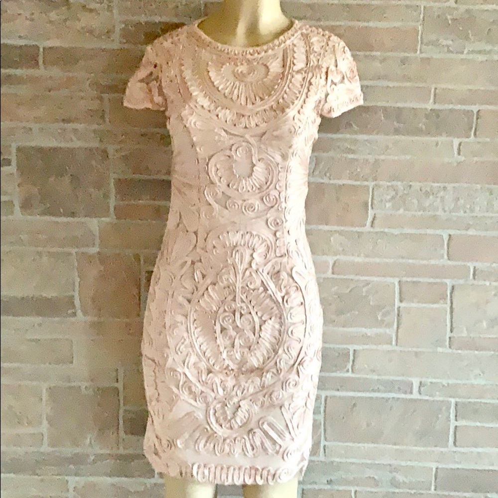 JS Collections Blush Soutache Dress - Picture 2 of 6